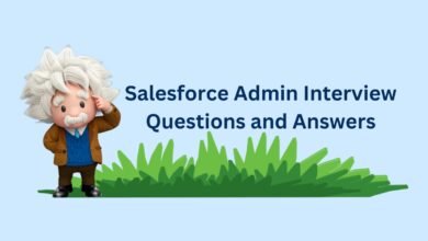Salesforce Admin Interview Questions and Answers