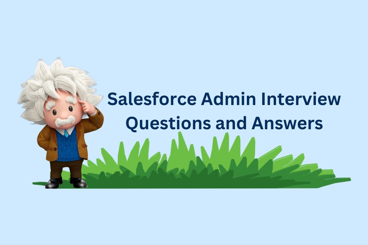 Salesforce Admin Interview Questions and Answers Part 1