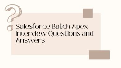 Salesforce Batch Apex Interview Questions and Answers